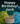 Spark Voltie Birthday - Animated Greeting Card